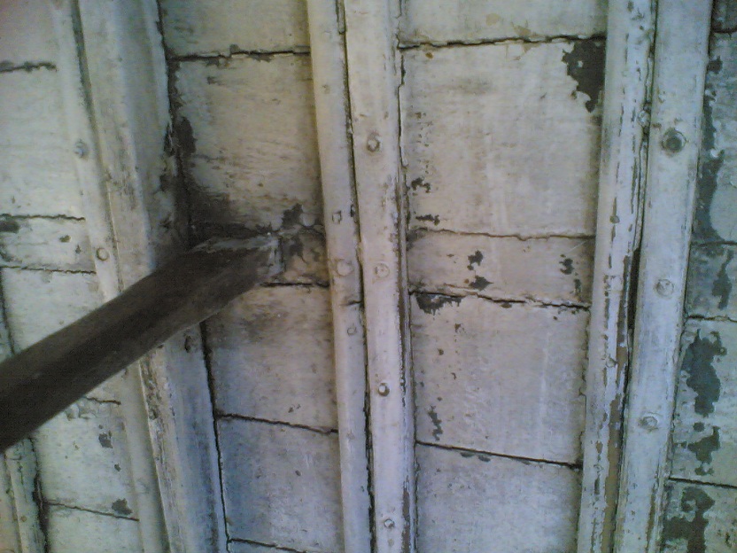 [Immagine: 201264225251_chiglia 05.jpg]